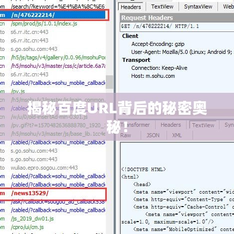 揭秘百度URL背后的秘密奥秘！