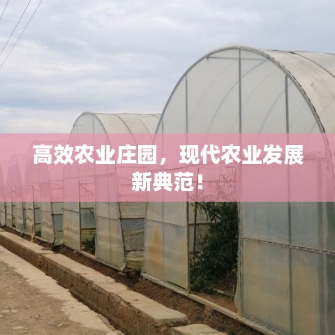 高效农业庄园，现代农业发展新典范！