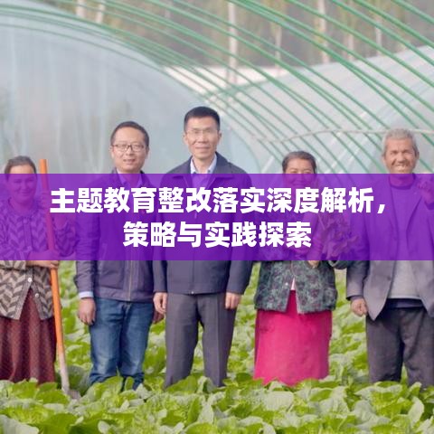 主题教育整改落实深度解析，策略与实践探索