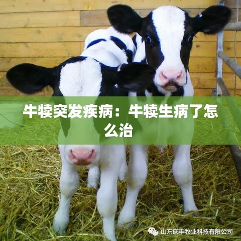 牛犊突发疾病：牛犊生病了怎么治 
