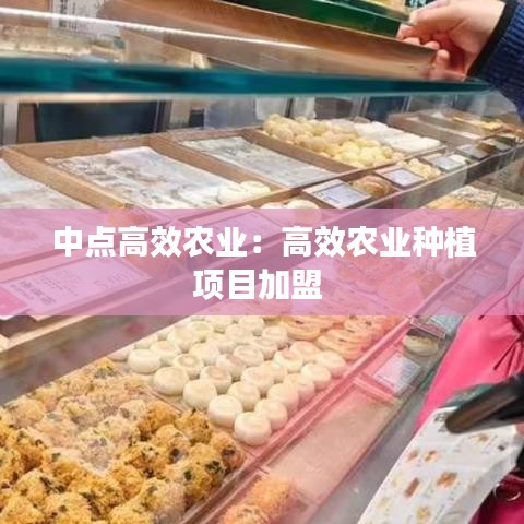 中点高效农业：高效农业种植项目加盟 