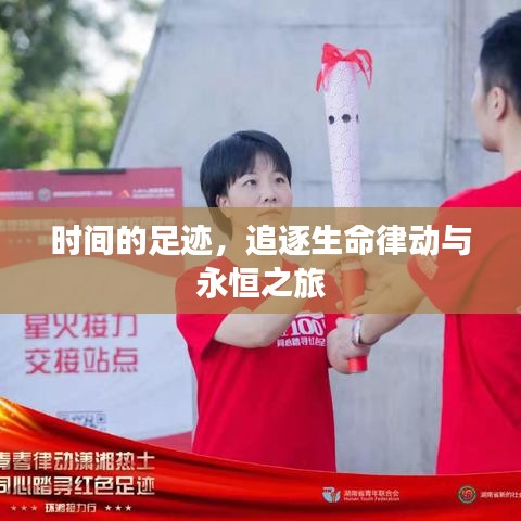 时间的足迹，追逐生命律动与永恒之旅