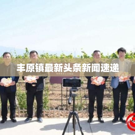 丰原镇最新头条新闻速递