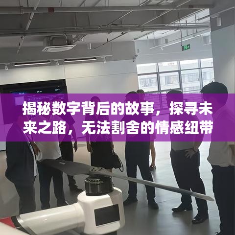 揭秘数字背后的故事，探寻未来之路，无法割舍的情感纽带