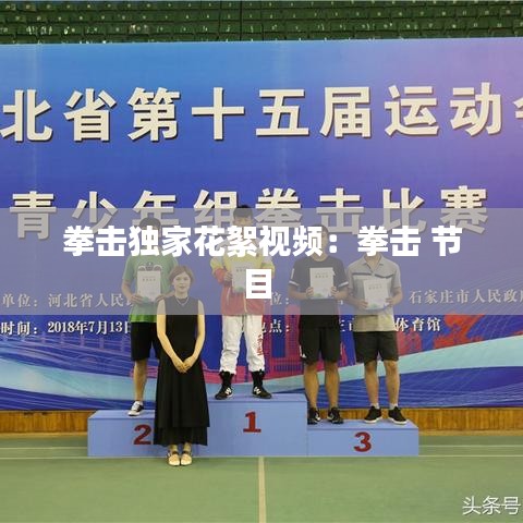 拳击独家花絮视频：拳击 节目 