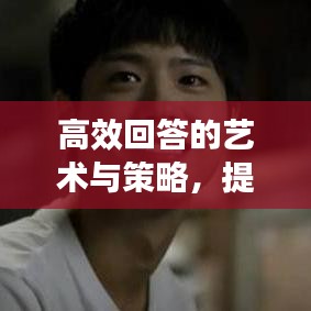 高效回答的艺术与策略，提升回答质量，轻松吸引关注