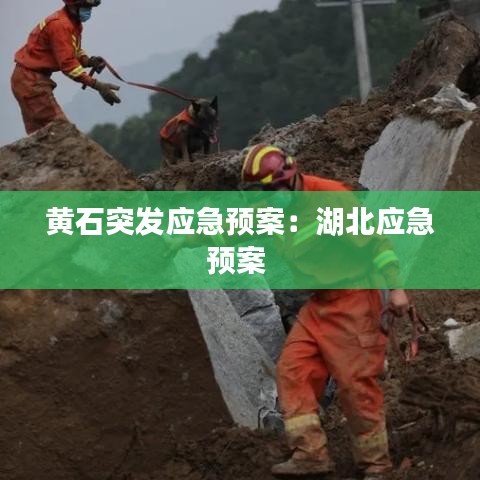 黄石突发应急预案：湖北应急预案 