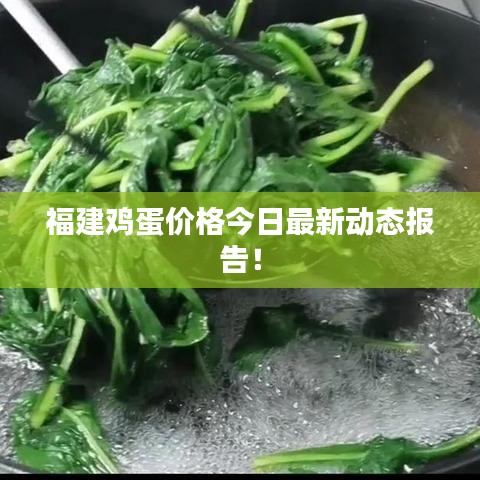福建鸡蛋价格今日最新动态报告！