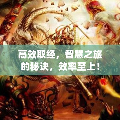 高效取经，智慧之旅的秘诀，效率至上！