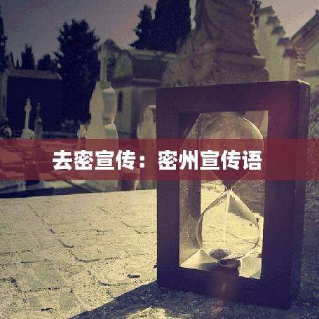 去密宣传：密州宣传语 
