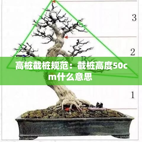 高桩截桩规范：截桩高度50cm什么意思 