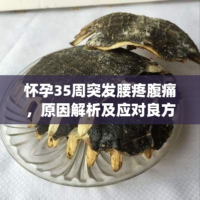 怀孕35周突发腰疼腹痛，原因解析及应对良方
