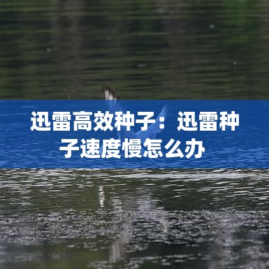 迅雷高效种子：迅雷种子速度慢怎么办 