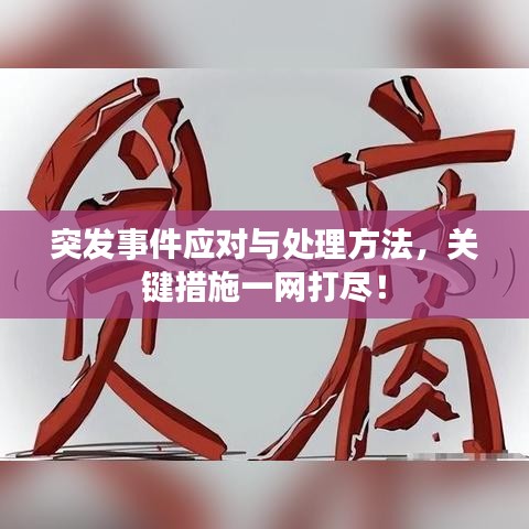 突发事件应对与处理方法，关键措施一网打尽！