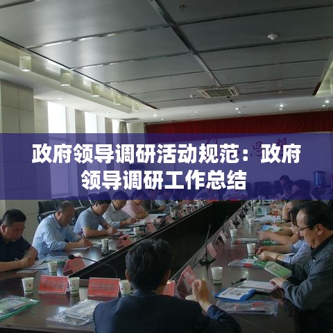 政府领导调研活动规范：政府领导调研工作总结 
