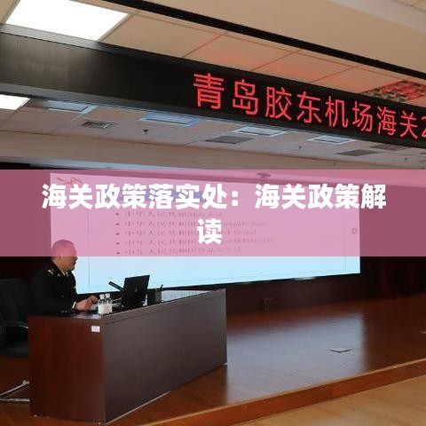海关政策落实处：海关政策解读 