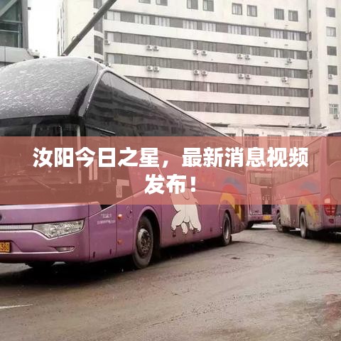 汝阳今日之星，最新消息视频发布！