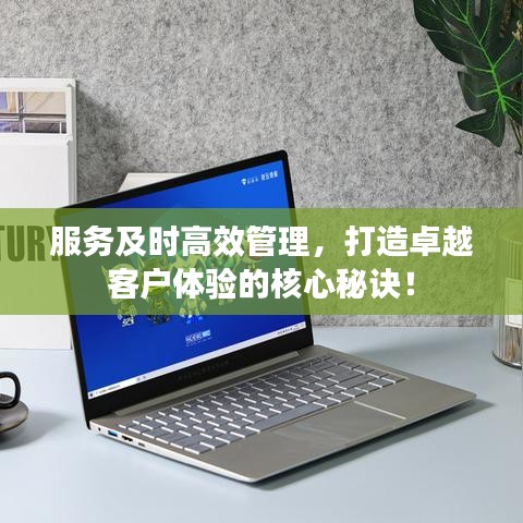 服务及时高效管理，打造卓越客户体验的核心秘诀！