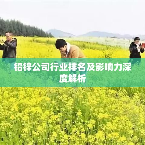 铅锌公司行业排名及影响力深度解析