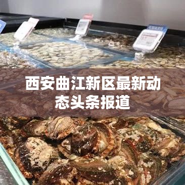 西安曲江新区最新动态头条报道