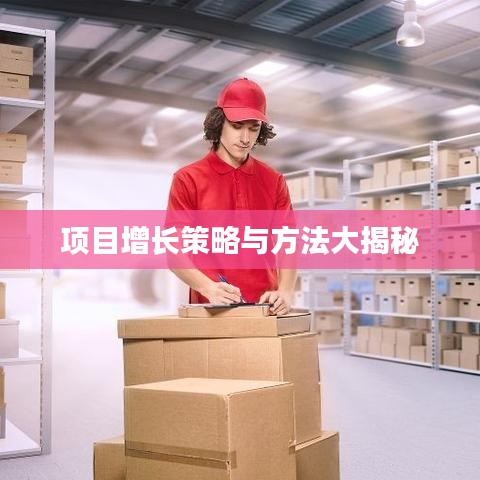 项目增长策略与方法大揭秘
