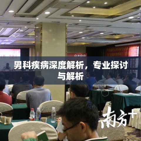 男科疾病深度解析，专业探讨与解析