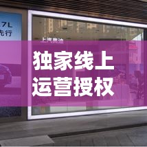 独家线上运营授权合同揭秘，法律保障下的合作双赢新篇章！