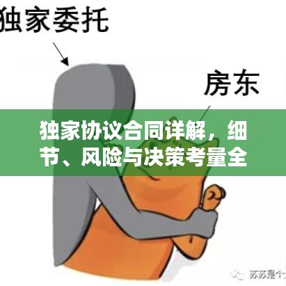 独家协议合同详解，细节、风险与决策考量全攻略