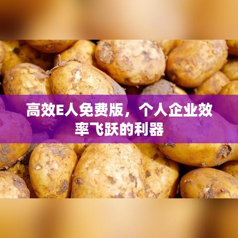 高效E人免费版，个人企业效率飞跃的利器