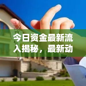 今日资金最新流入揭秘，最新动态一网打尽