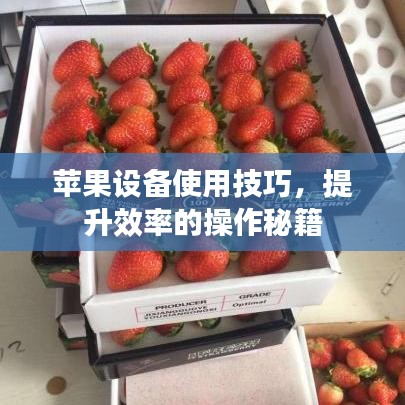 苹果设备使用技巧，提升效率的操作秘籍