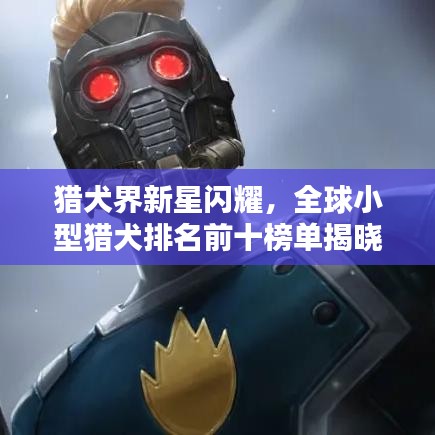 猎犬界新星闪耀，全球小型猎犬排名前十榜单揭晓！