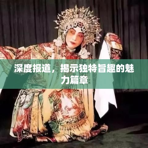 深度报道，揭示独特旨趣的魅力篇章