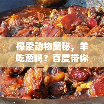 探索动物奥秘，羊吃葱吗？百度带你揭秘自然世界！