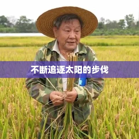 不断追逐太阳的步伐