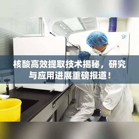 核酸高效提取技术揭秘，研究与应用进展重磅报道！