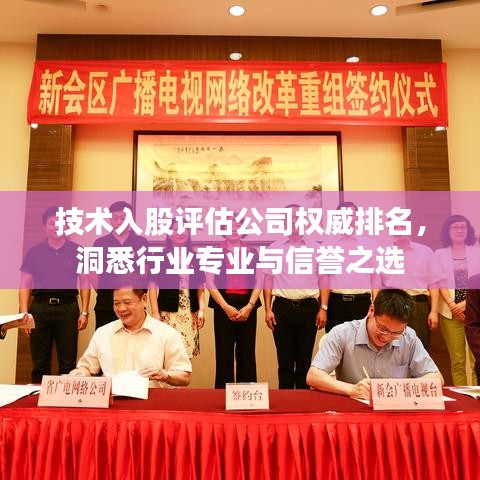 技术入股评估公司权威排名，洞悉行业专业与信誉之选
