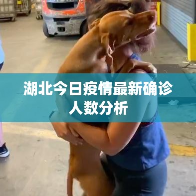 眼空四海 第2页