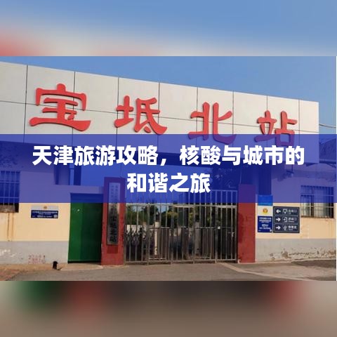 天津旅游攻略，核酸与城市的和谐之旅