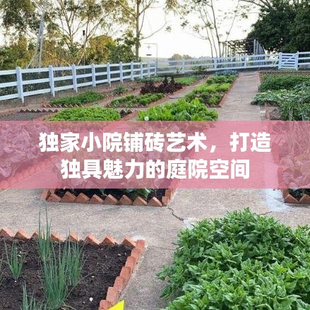 独家小院铺砖艺术，打造独具魅力的庭院空间
