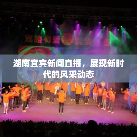 湖南宜宾新闻直播，展现新时代的风采动态