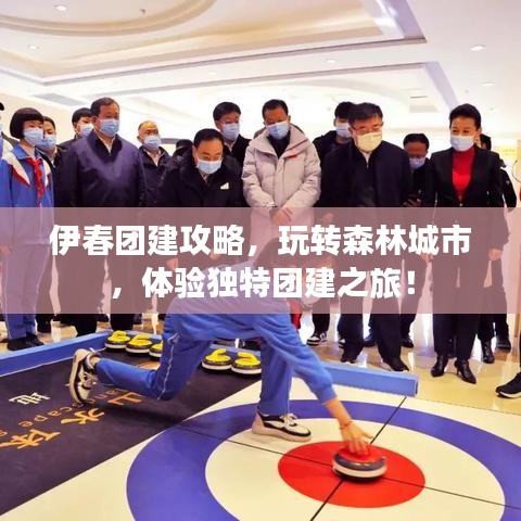 伊春团建攻略，玩转森林城市，体验独特团建之旅！