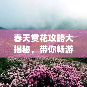 春天赏花攻略大揭秘，带你畅游花海世界！