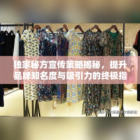 独家秘方宣传策略揭秘，提升品牌知名度与吸引力的终极指南