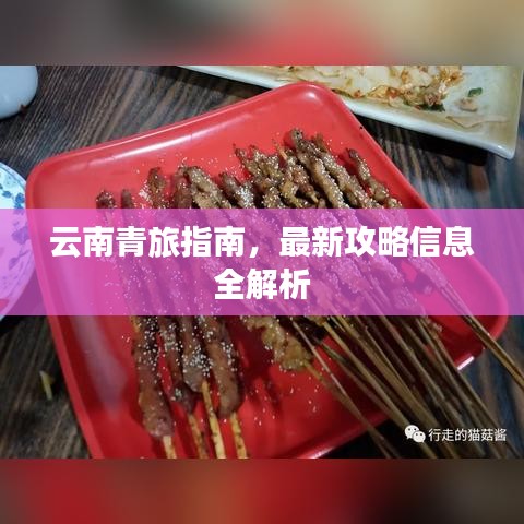 云南青旅指南，最新攻略信息全解析