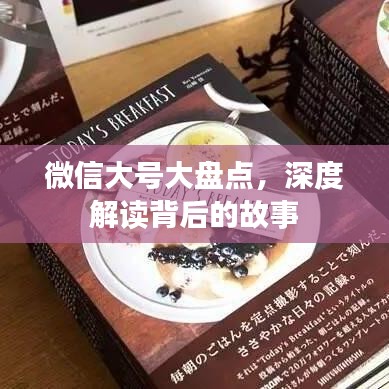 微信大号大盘点，深度解读背后的故事
