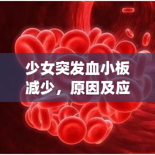 少女突发血小板减少，原因及应对方法解析