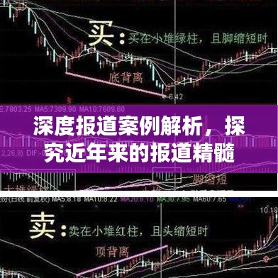 深度报道案例解析，探究近年来的报道精髓