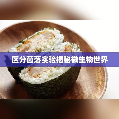 区分菌落实验揭秘微生物世界