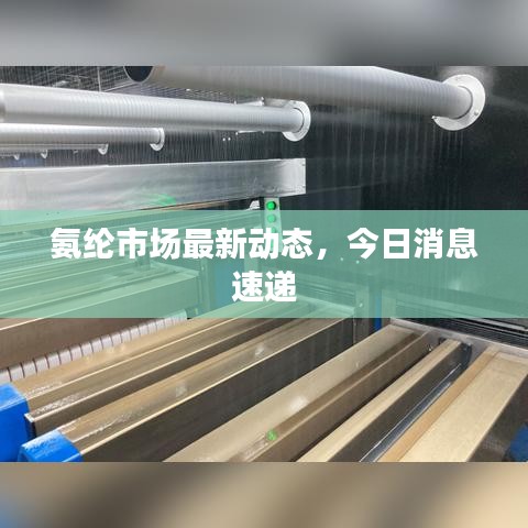 氨纶市场最新动态，今日消息速递